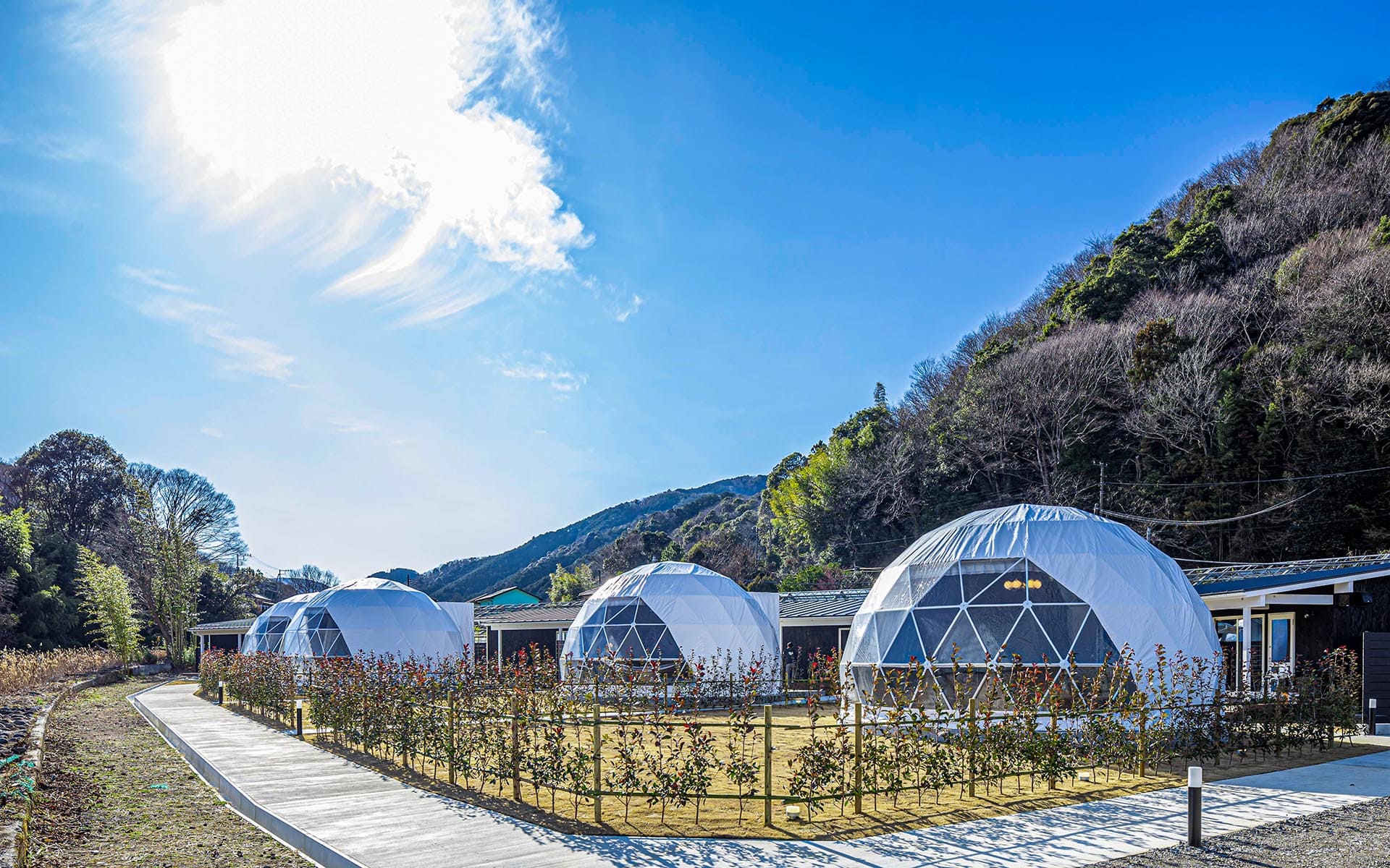 チェックアウト