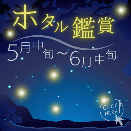 ホタル観賞
