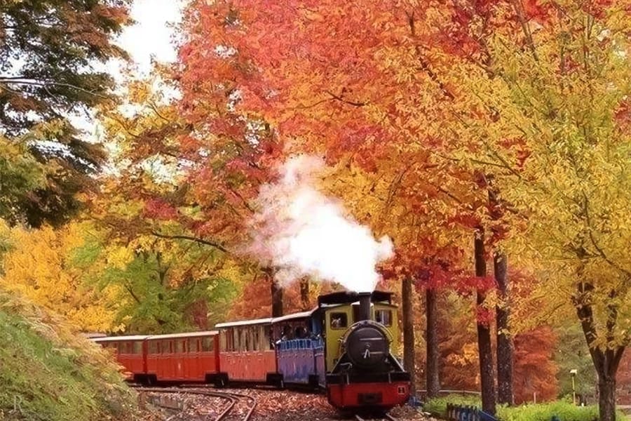 虹の郷で紅葉散策