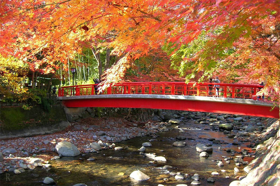 修善寺温泉紅葉